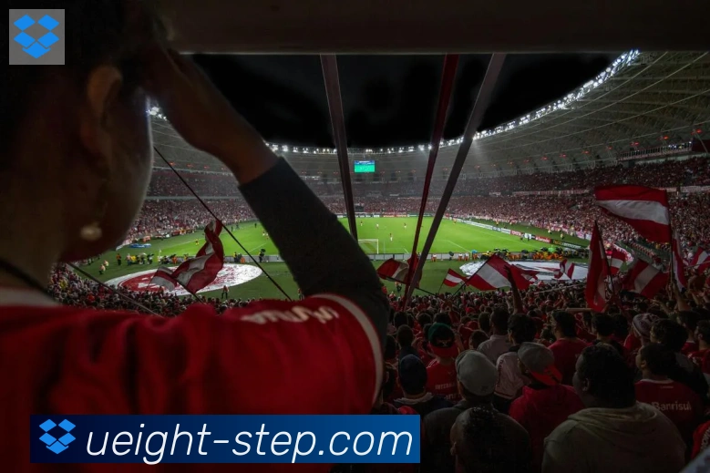 U8国际服务体系