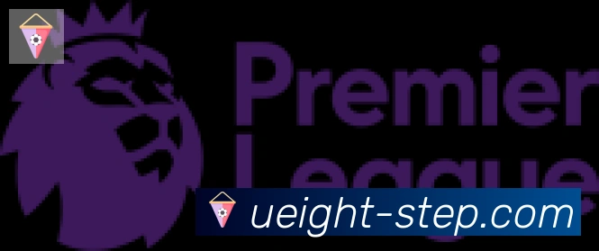 U8国际合作伙伴