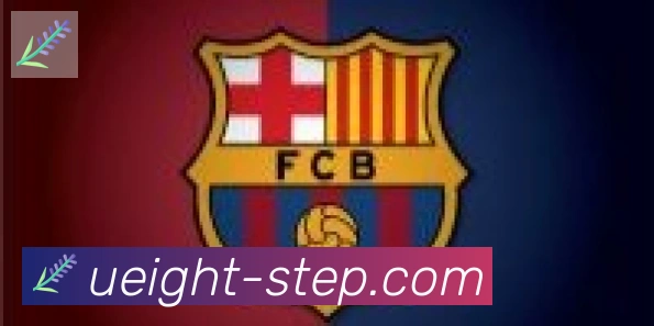 U8国际合作伙伴