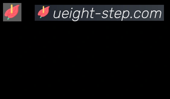 U8国际合作伙伴